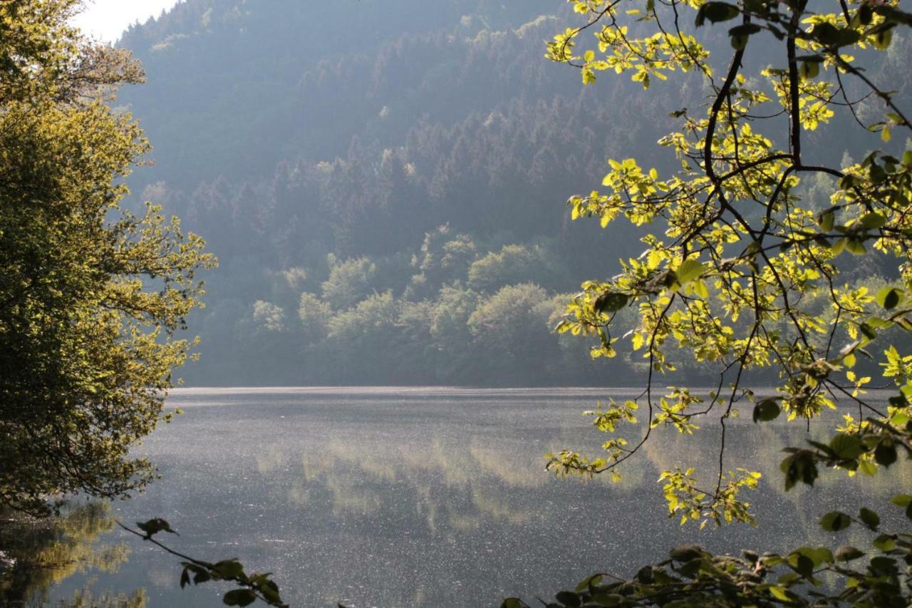 Ferienhaus Lara Heimbach Dış mekan fotoğraf