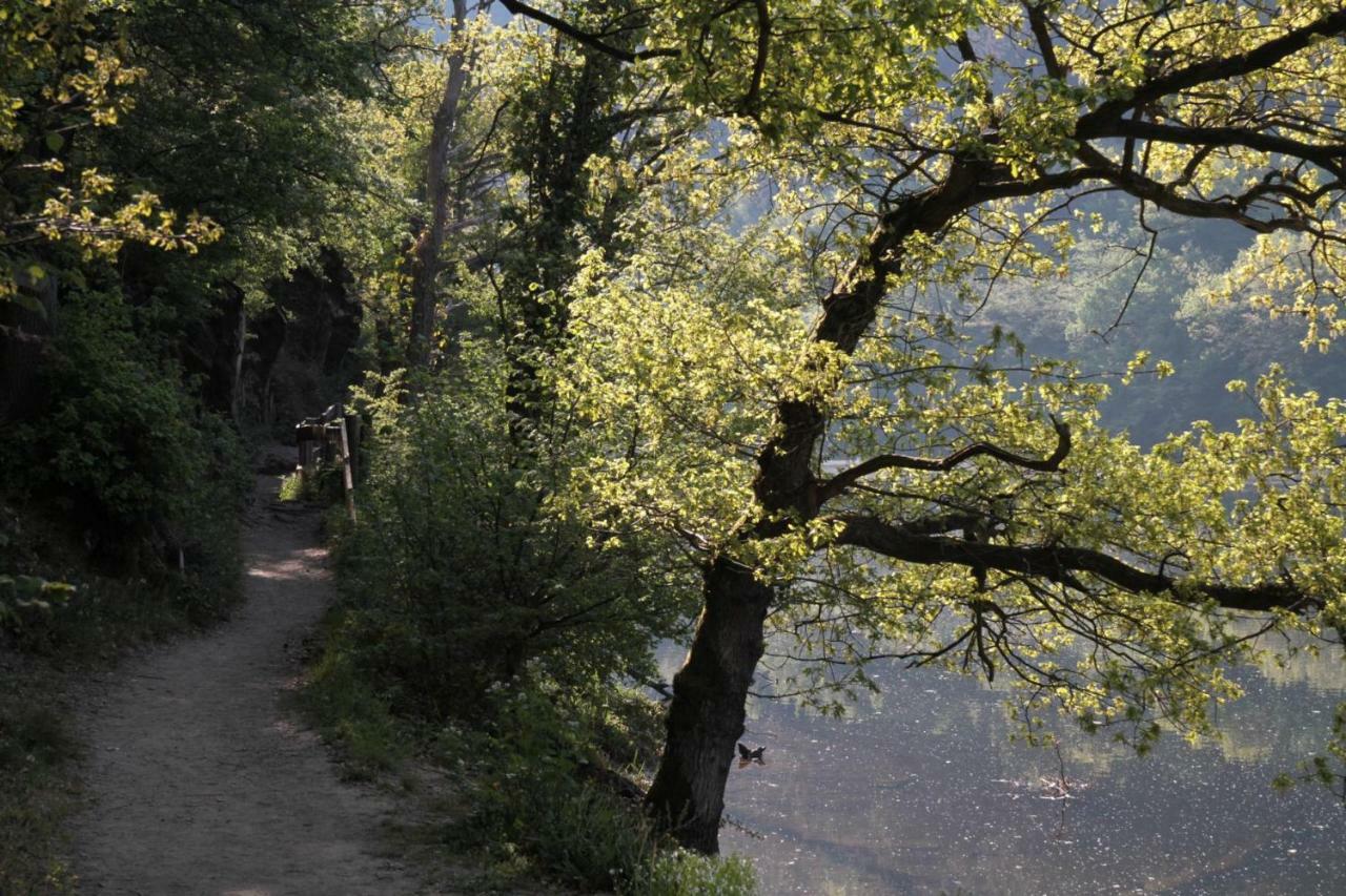 Ferienhaus Lara Heimbach Dış mekan fotoğraf